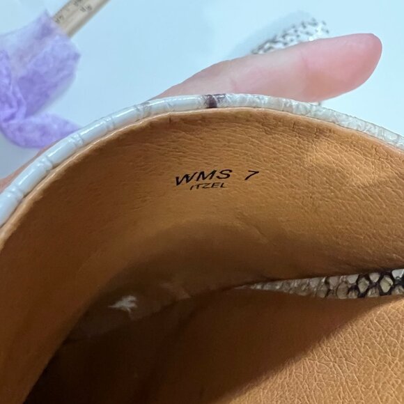 Dv Dolce Vita Leather‎ Snake Print Pointed Toe Mules Slide Sandals Size 7 - Picture 2 of 10